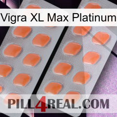 Vigra Xl Max Platinum 27